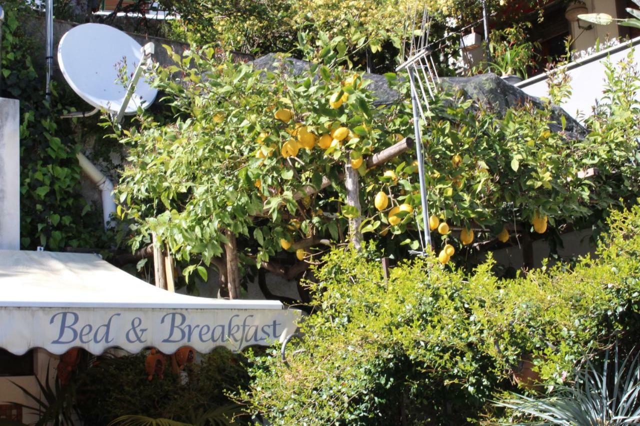 Bed & Breakfast Casa Anna Rita Vietri Eksteriør billede